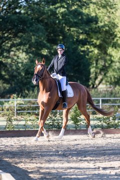 Bild 12 - Pony Akademie Turnier